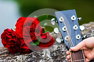Acoustic guitar headstock and bouquet of red roses close up