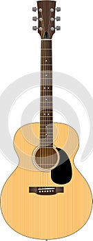 Acoustic Guitar Illustration