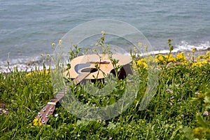 acoustic guitar lying in the green grass on the background of the sea. music sound concept on the beach