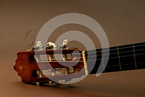 Acoustic Guitar, partial close-up view of headstock and capstan or string pos