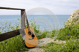 acoustic guitar stands near the fence in the green grass against the background of the sea. music concept on the beach