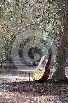 Acoustic guitar stands near the tree with blurred background