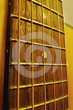 Acoustic Guitar strings, fret board and frets Closeup