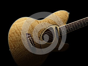 Acoustic Guitar, Talman TCM50