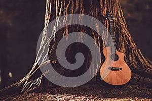 Acoustic Guitar and Tree