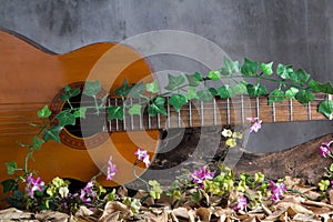 Acoustic guitar on wood table