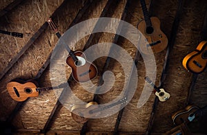 Acoustic guitars hanging from the ceiling