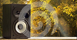 Acoustic sound speakers on autumn nature background. Multimedia, audio and sound concept. Copy space. The musical equipment. Close
