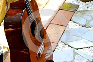 Acoustics guitar resting in garden