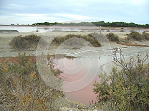 Acqua rosa nella salina di Saint Marie De La Mer in Camarga