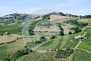 Acquaviva Picena small village on Marche