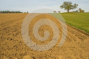 Acre with fine crumbs