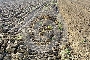 Acre prepared for sowing