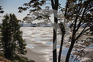 Acres of sand and mud - tidal flats near White Rock