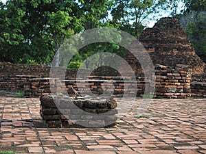 Acridotheres bird stand on old brick with soft focus of background