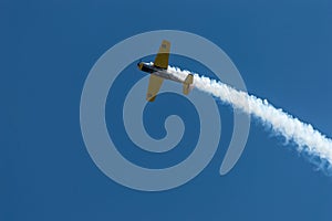 Acrobatic plane