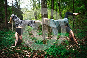 Acrobatic yoga practiced by young female couple photo