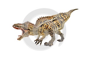 Acrocanthosaurus , Dinosaur on white background