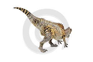 Acrocanthosaurus , Dinosaur on white background