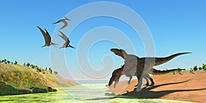 Acrocanthosaurus Dinosaurs and Pteranodon Reptiles photo