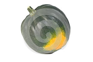 Acron Squash