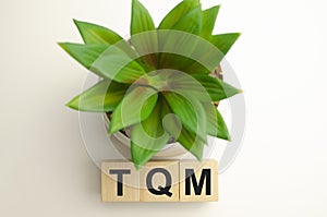 Acronym TQM - Total Quality Management. Wooden small cubes with letters isolated on white background with copy space available.