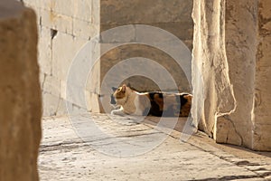 Acropolis, Athens,Greece. It is a main tourist attraction of Athens. Ancient Greek architecture of Athens in summer.Ruins of a