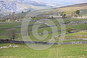 Across The Fields To Dry Rigg Quarry