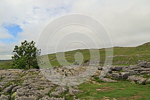 Across the Limestone Pavement Malham Cove