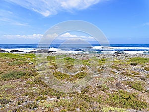 Across the rugged beach of Robben Island to Cape Town