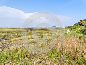 Across the saltmarshes near West Wittering beach in Norfolk photo
