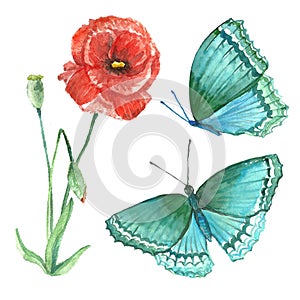 Acrylic image of wildflowers and butterflies on a white background.