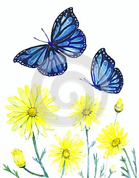 Acrylic image of wildflowers and butterflies on a white background.