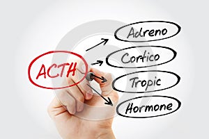 ACTH - Adrenocorticotropic hormone acronym