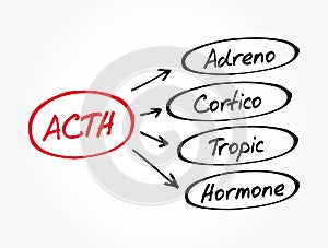 ACTH - Adrenocorticotropic hormone acronym photo