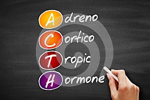 ACTH - Adrenocorticotropic hormone acronym, concept on blackboard