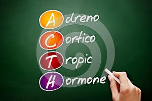 ACTH - Adrenocorticotropic hormone acronym, concept on blackboard photo