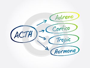 ACTH - Adrenocorticotropic hormone acronym, medical concept background