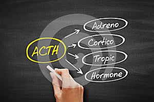 ACTH - Adrenocorticotropic hormone acronym, medical concept background photo