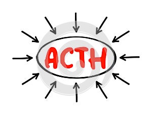 ACTH Adrenocorticotropic hormone - polypeptide tropic hormone produced by and secreted by the anterior pituitary gland, acronym photo