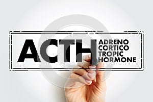 ACTH Adrenocorticotropic hormone - polypeptide tropic hormone produced by and secreted by the anterior pituitary gland, acronym photo