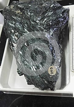 Actinolite schist sedimentary rocks photo