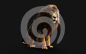 Action of Dangerous Lion with Clipping Path