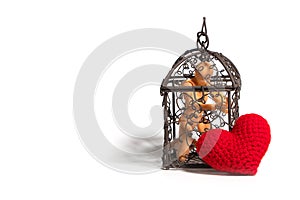 Action figure sitting in cage and there is a red heart on the outside on white background. Concept of Love, imprisonment and depri