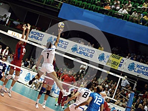 Action of Mastrangelo