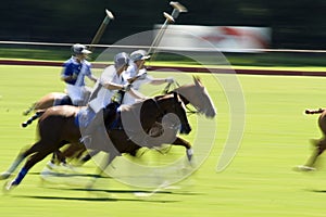 Action shot of a polo match