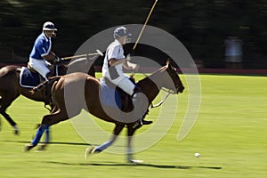 Action shot of a polo match