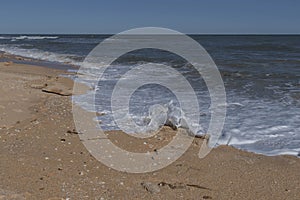 Action: Splashing Wave on Coquina Rocks