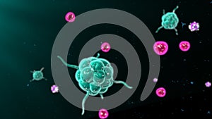Bunky a bunky v imúnny systém 
