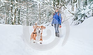 Active beagle dog running in deep snow. Its female owner lookking and smiling. Winter walks with pets concept image